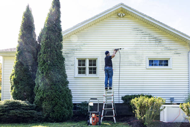 Best Sidewalk Pressure Washing  in Alpha, NJ