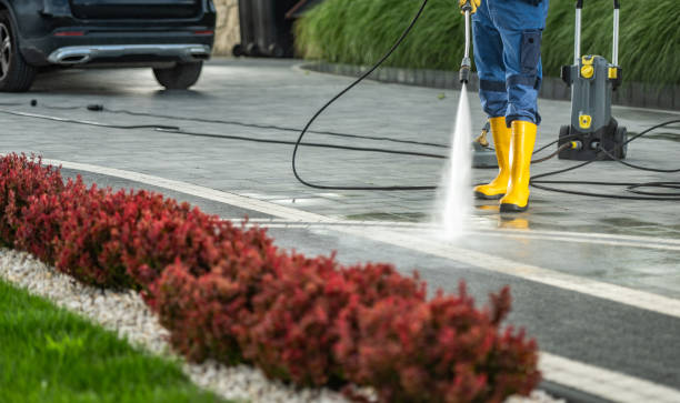Best House Pressure Washing  in Alpha, NJ